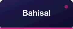 Bahisal logo